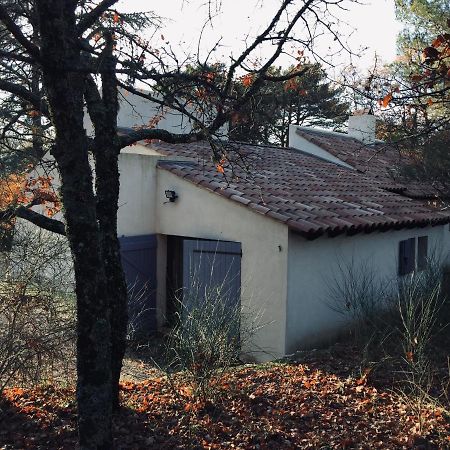 La Maison De Mado Et Sa Cabane Dans Les Arbres Plan d'Aups Dış mekan fotoğraf