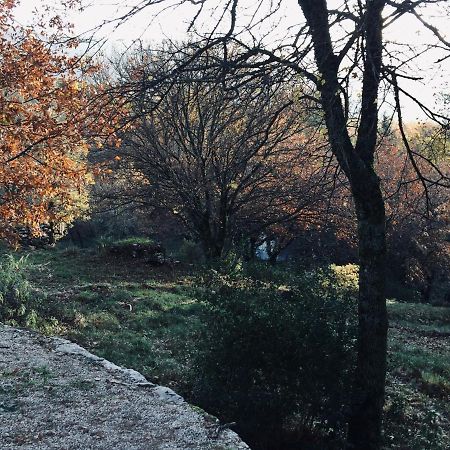 La Maison De Mado Et Sa Cabane Dans Les Arbres Plan d'Aups Dış mekan fotoğraf