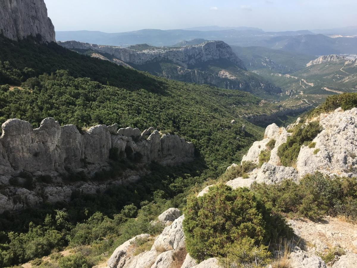 La Maison De Mado Et Sa Cabane Dans Les Arbres Plan d'Aups Dış mekan fotoğraf