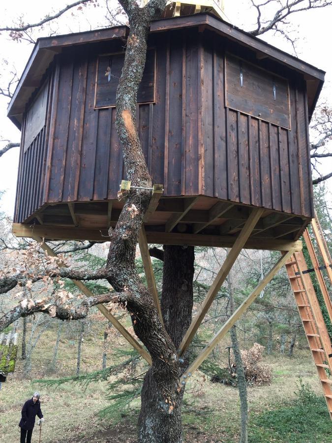 La Maison De Mado Et Sa Cabane Dans Les Arbres Plan d'Aups Dış mekan fotoğraf